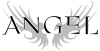 DE| ANGEL  ᴿᴬᵂ