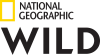 [PT] NATIONAL GEOGRAPHIC WILD UHD