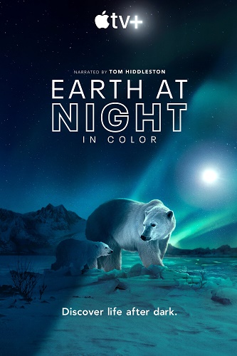 A+ - Earth At Night In Color (2020)