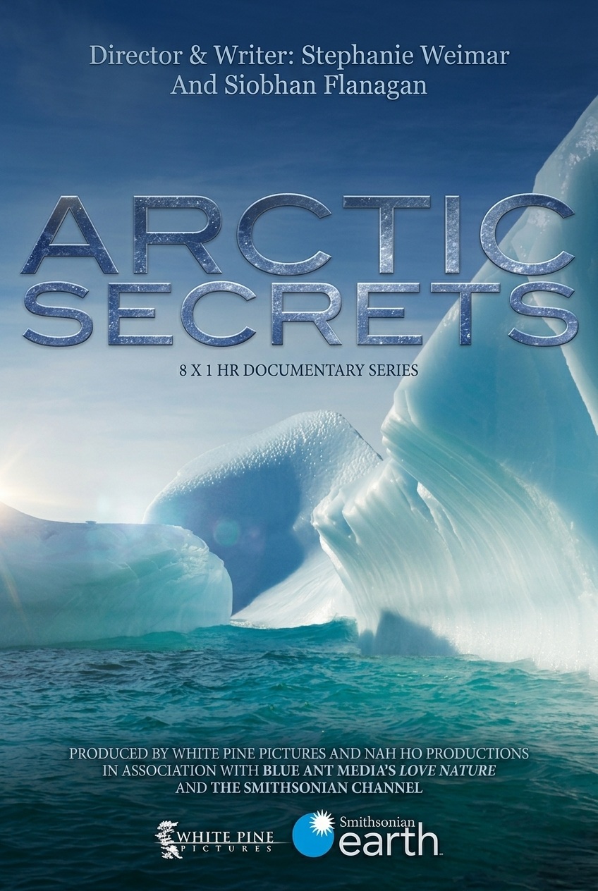 EN - Arctic Secrets (2016) (US)